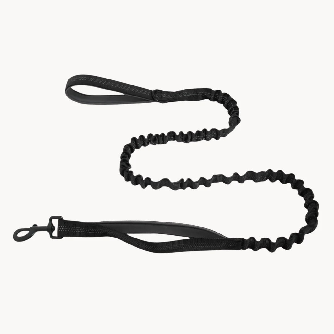 đ Shimerlya Elastische Leine GRATIS