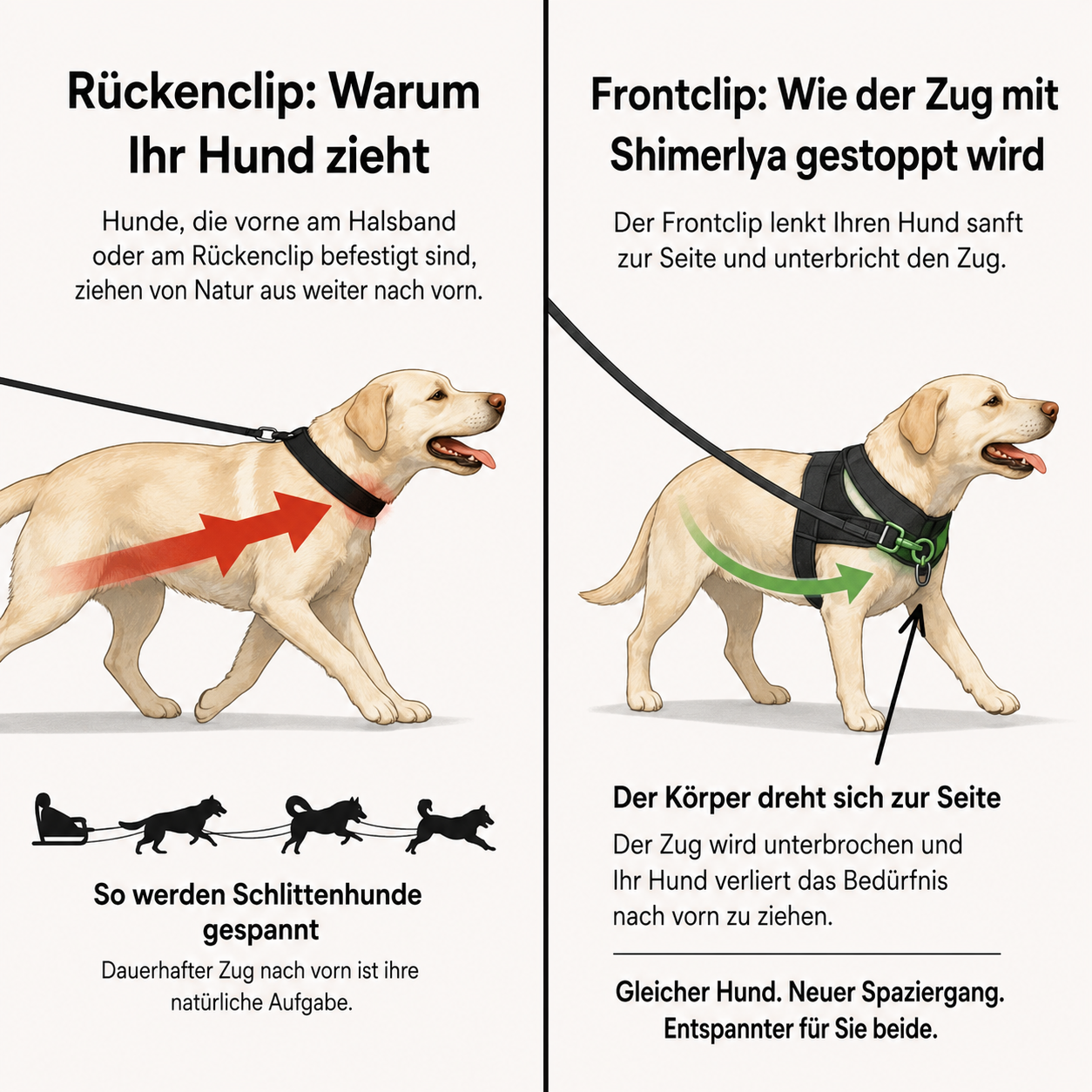 Shimerlya Anti-Zug Hundegeschirr