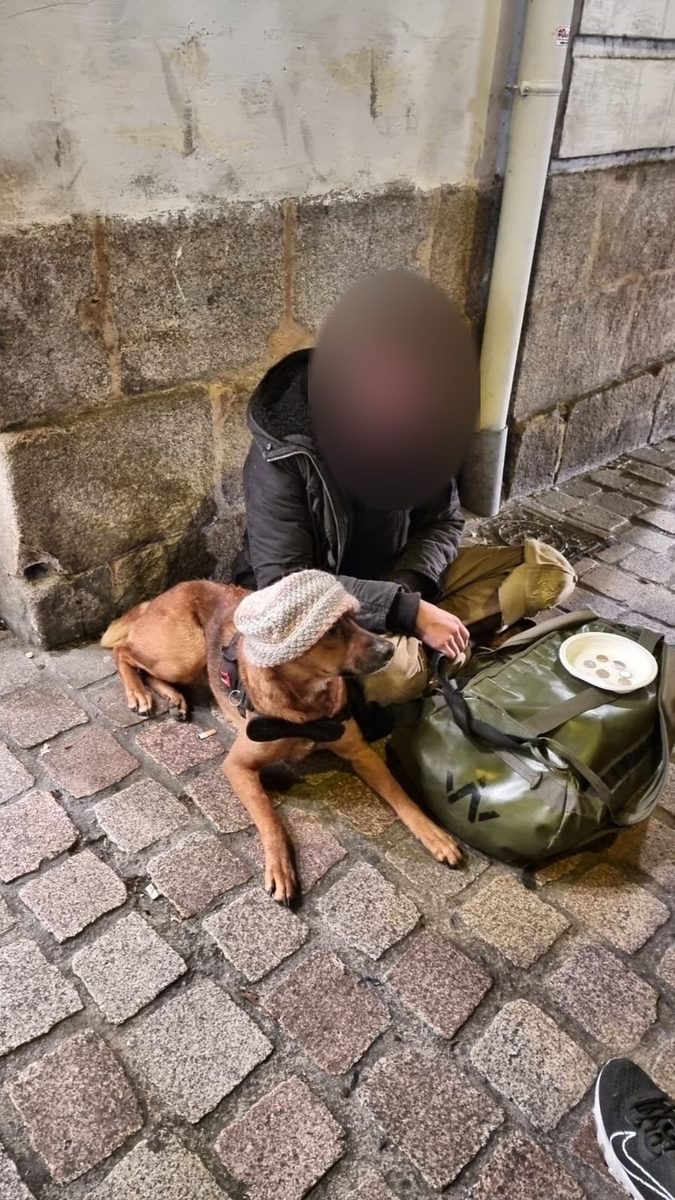 Proč myslíme i na jejich psy