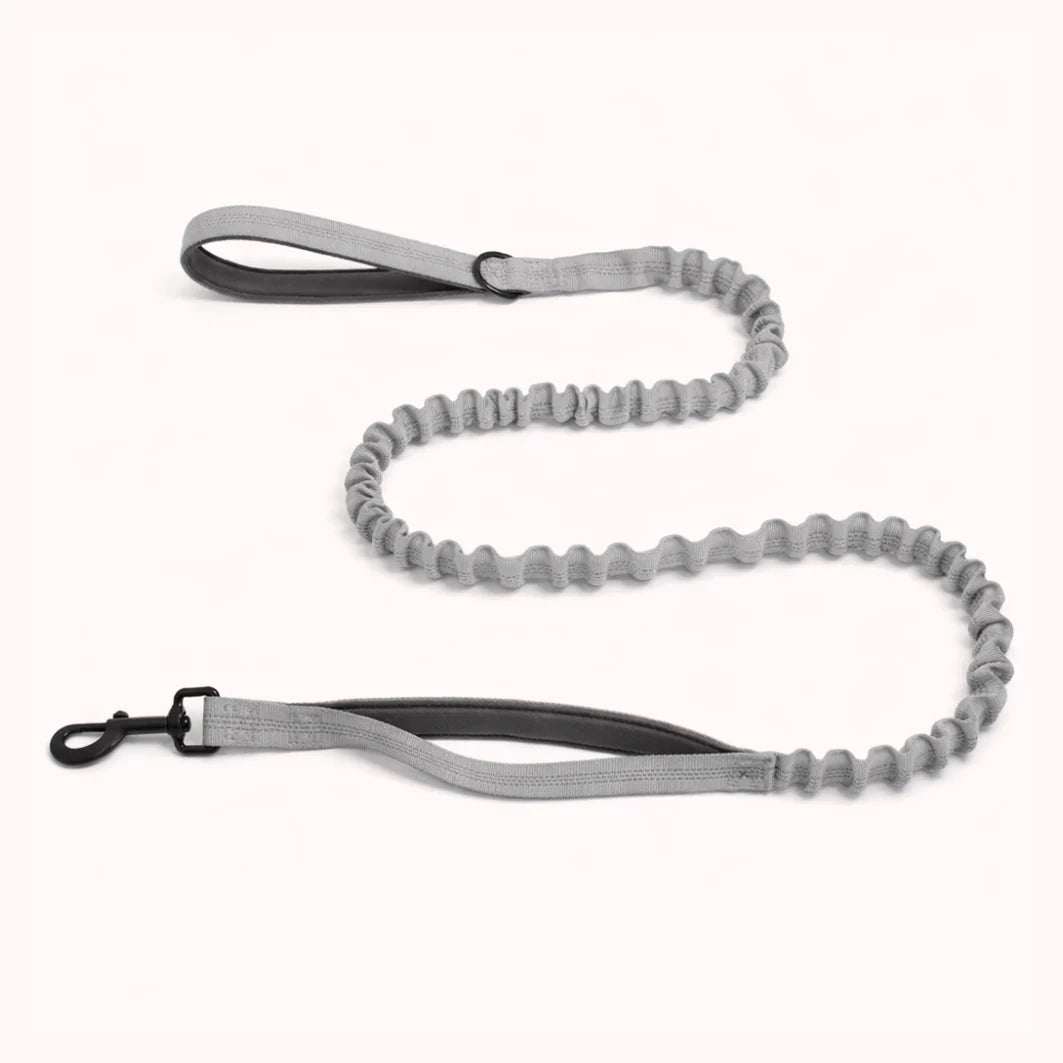 🎁 Shimerlya Elastische Leine GRATIS
