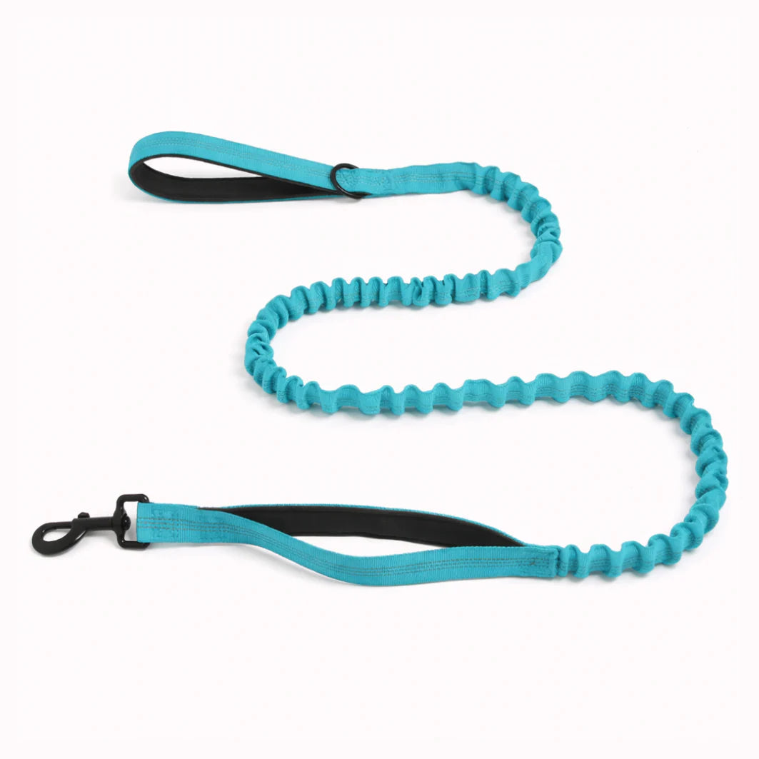 🎁 Shimerlya Elastische Leine GRATIS