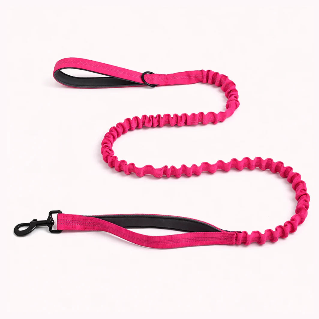 🎁 Shimerlya Elastische Leine GRATIS
