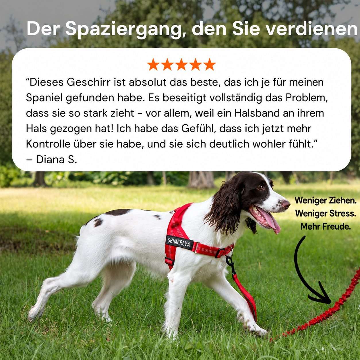 Shimerlya Anti-Zug Hundegeschirr