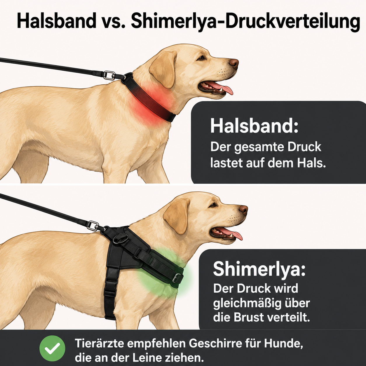 Shimerlya Anti-Zug Hundegeschirr